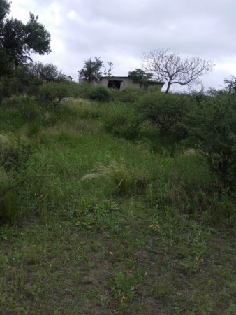 VENDO IMPORTANTE LOTE DE TERRENO EN CABALANGO IDEAL PARA EMPRENDIMIENTO TURISTICO