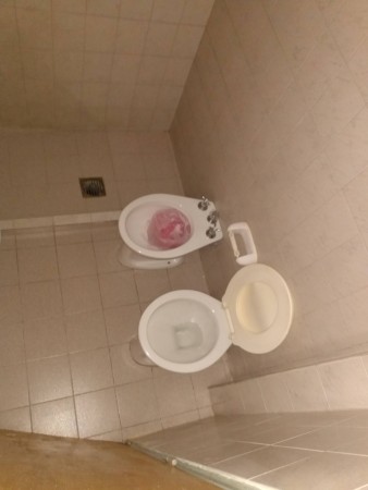 B° VILLA ADELA: ALQUILO DEPTO PB INTERNO DE DOS DORMITORIOS SOBRE PETTIROSSI