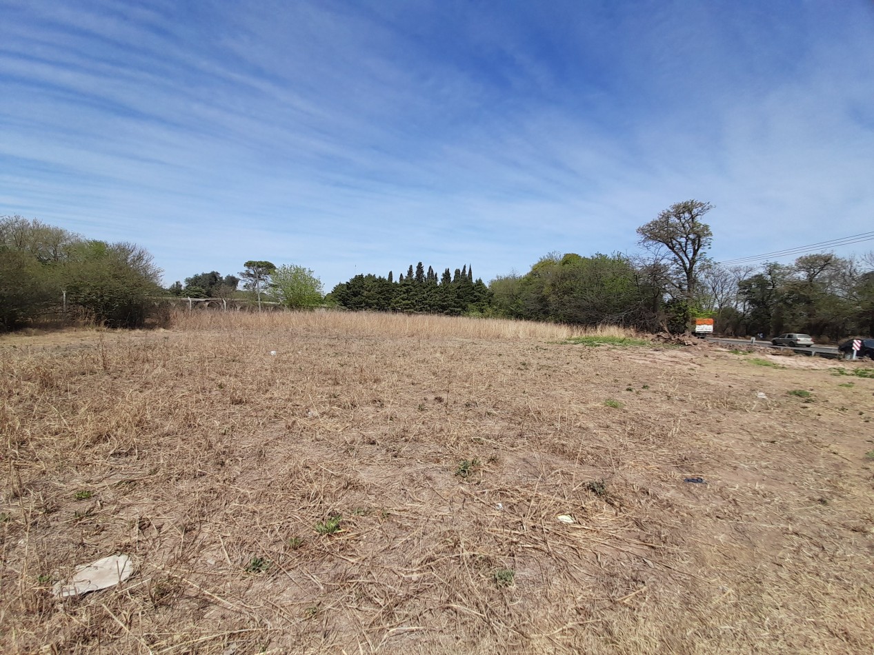 VENDO IMPORTANTE LOTE SOBRE CAMINO A COLONIA TIROLESA