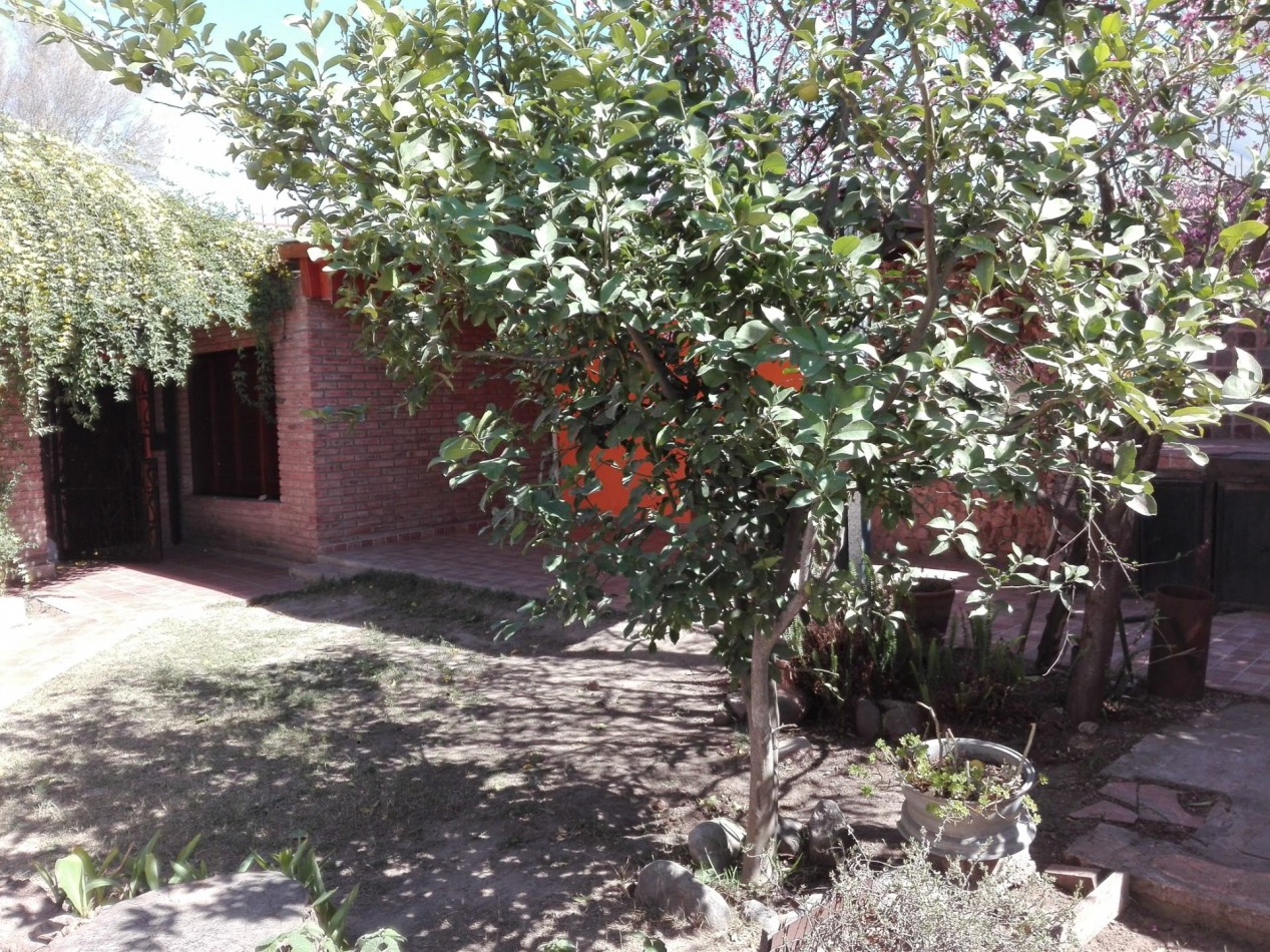 B° ESTACION FLORES: ALQUILO HERMOSA CASA INTERNA DE DOS DORMITORIOS CON PATIO